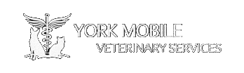 York Mobile Veterinary Services